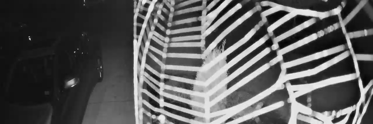 larry h lawson banner