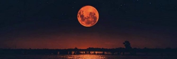 ju_favalessa's profile banner image