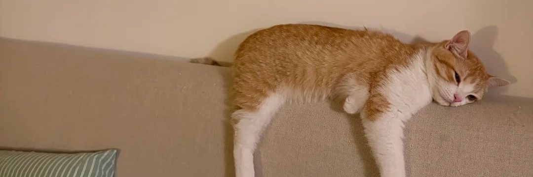 ลอ.ออ ❤️‍🔥 banner