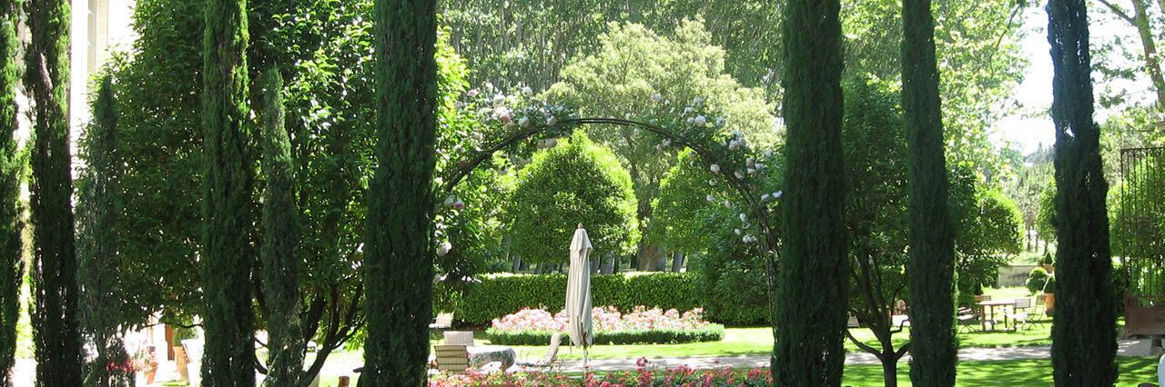 Mary-Jane Deeb banner