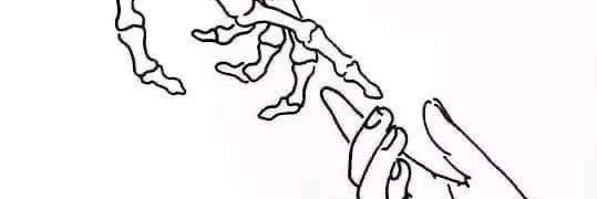 TU PITUDO FAVORITO ✨ banner