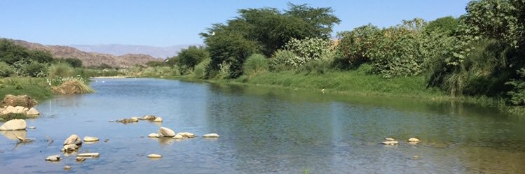 أبوسعود الشمراني banner