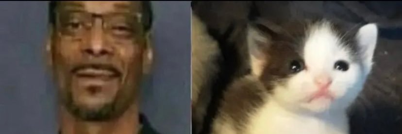 Cheesegodishere's profile banner image