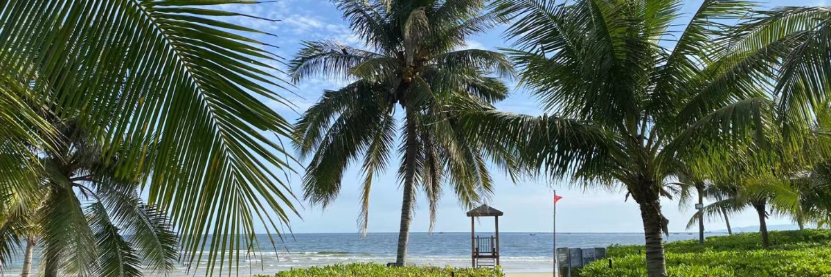 不太接地气 banner