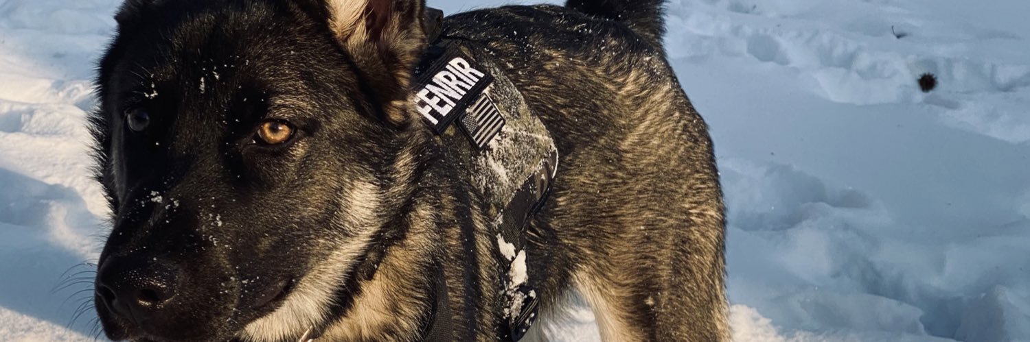 Pigeonpew's profile banner image