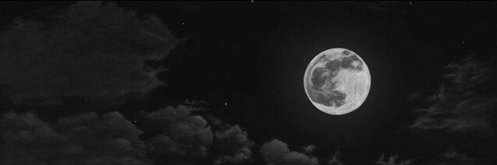 meliiiss__'s profile banner image