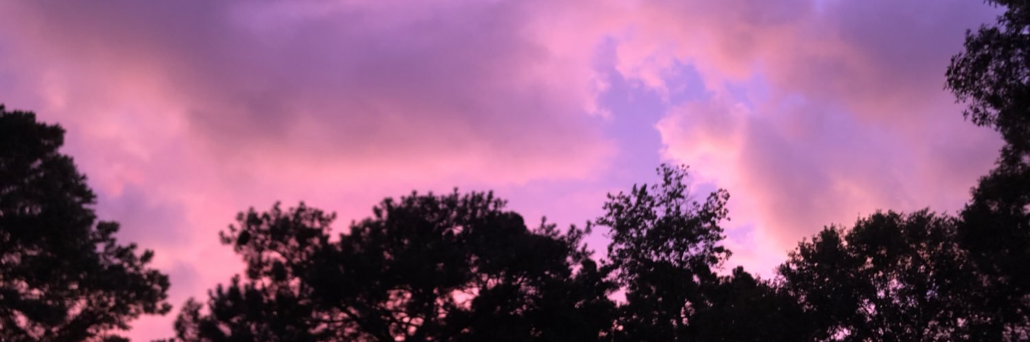 WillButterfield's profile banner image