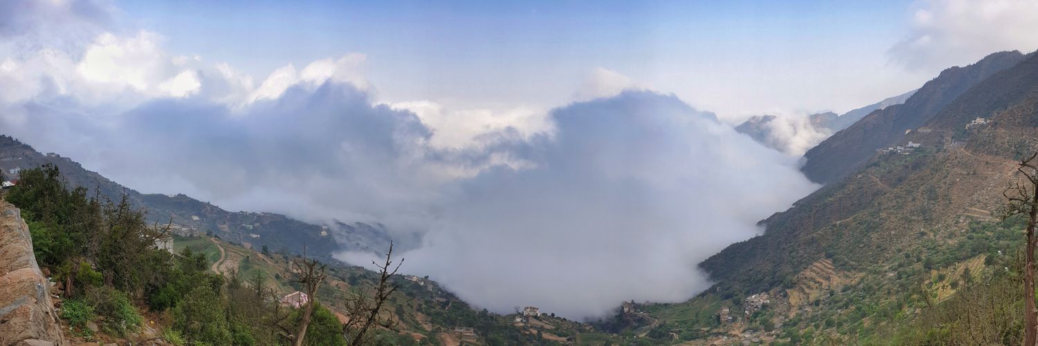 محمد العمري banner