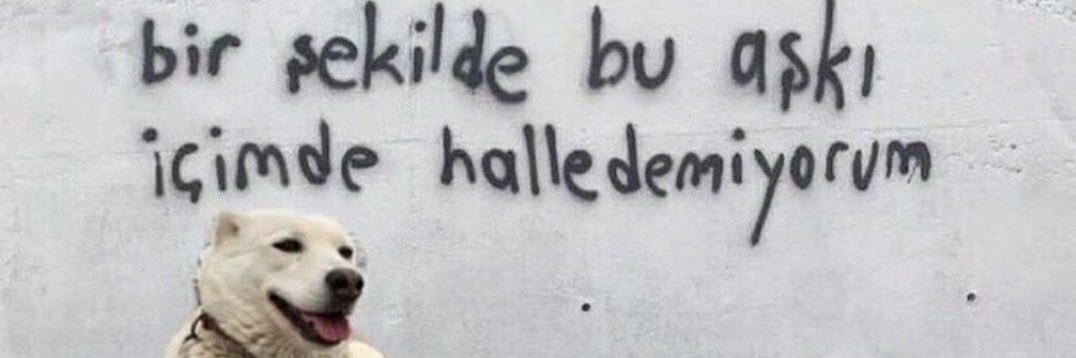 berkcannkaracaa's profile banner image