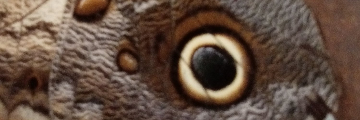 AlbeiroVeraV's profile banner image