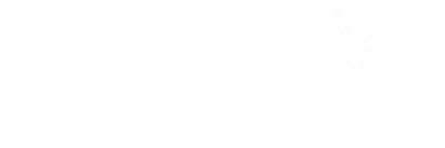 n banner