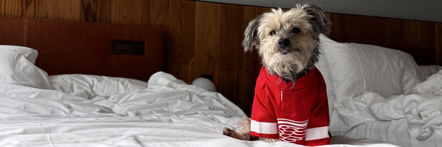 tina jain 👩🏽‍💻 banner