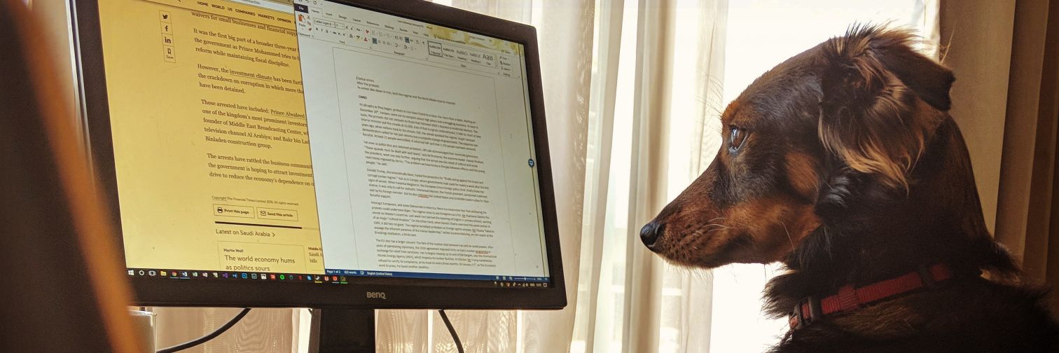 Gregg Carlstrom banner