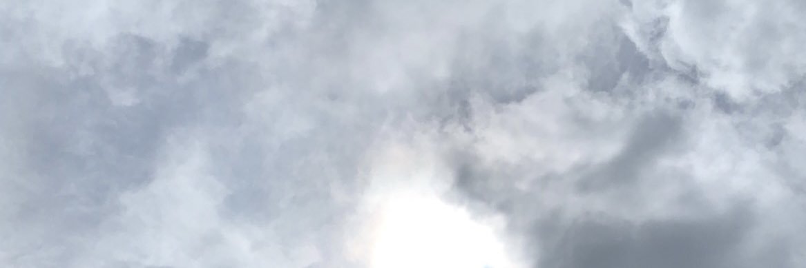 Randi Jarrell banner