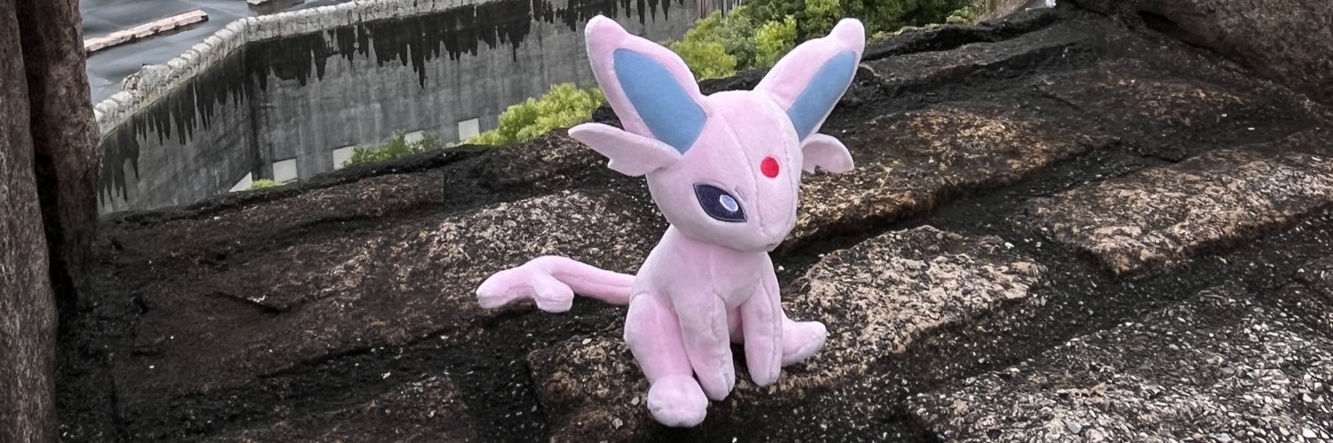 raideen4's profile banner image