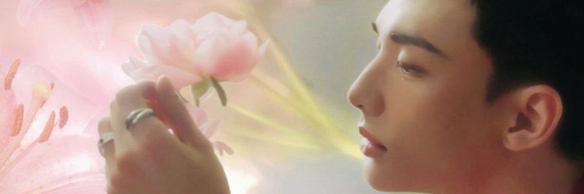 ✎ Yume🐣 // vi a skz❤️‍🩹 banner