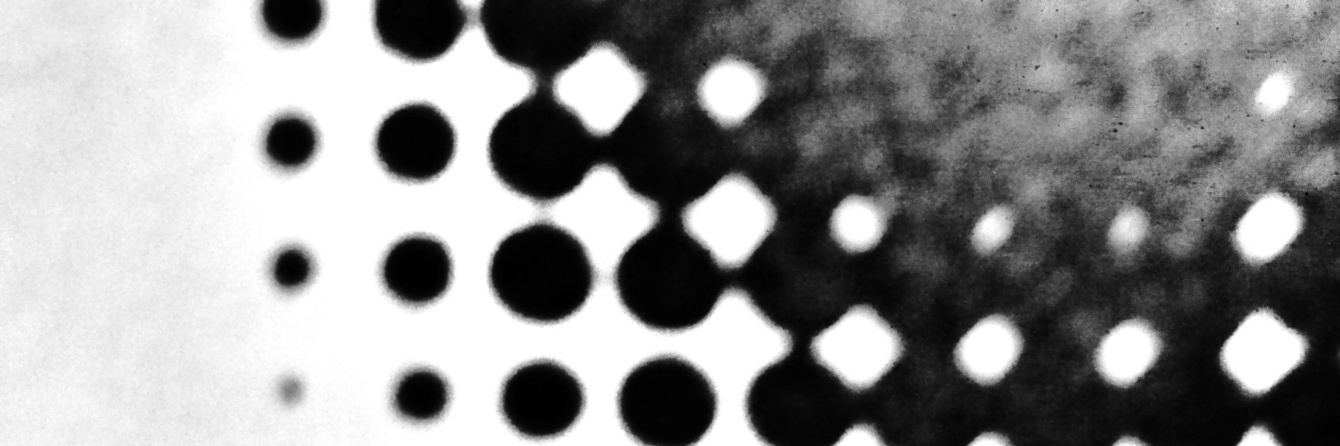 hiromi suzuki / 鈴木博美's banner