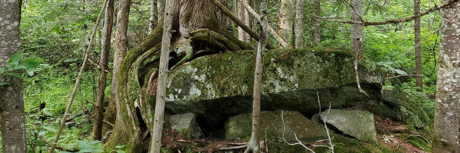 Philippe Meloni banner