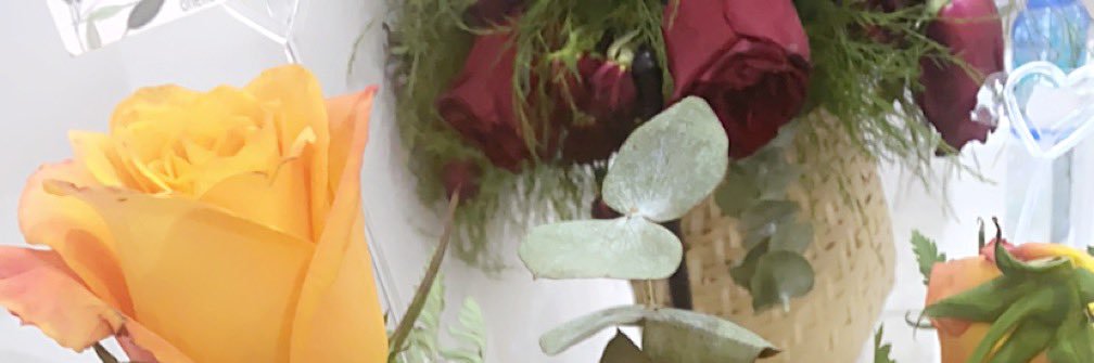 نوووف💕 banner