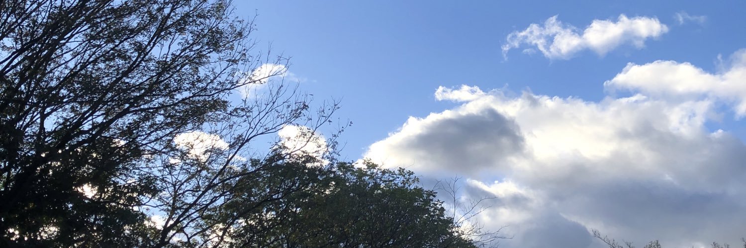 faithlizzle's profile banner image