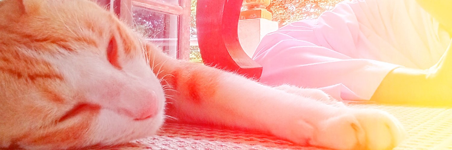 meomee's profile banner image