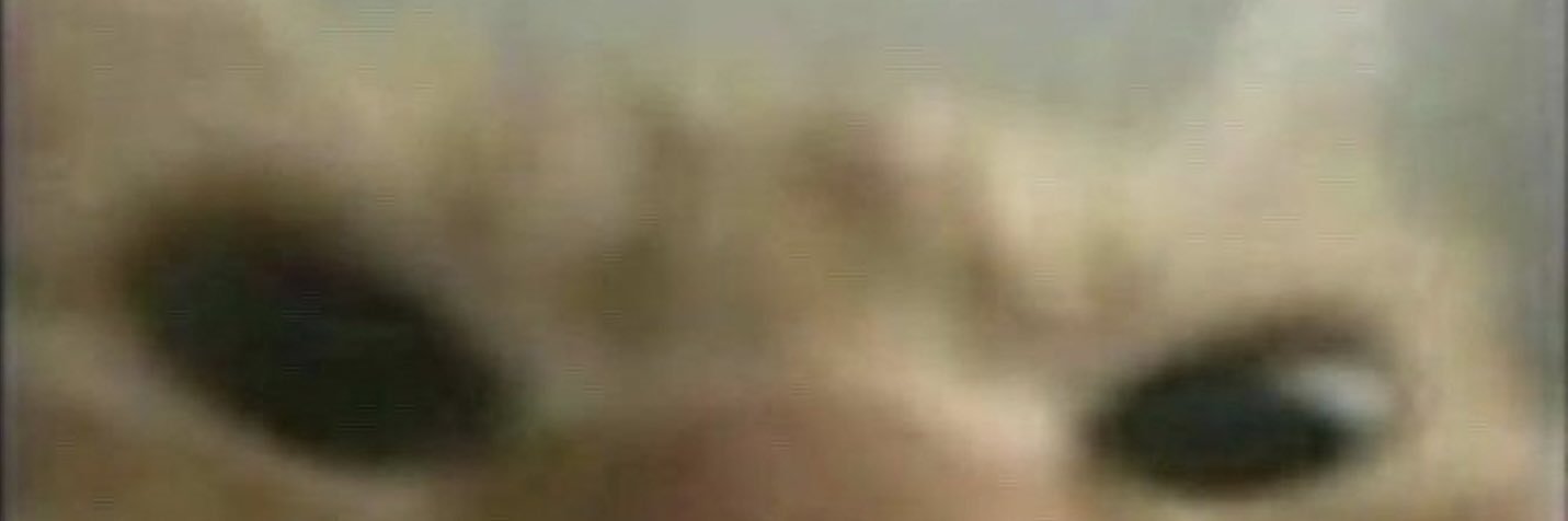 ☦️ Duarte 𒉭 banner