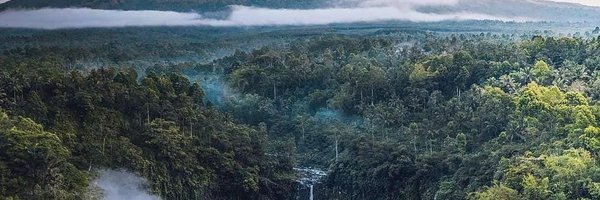 Djuniatara Profile Banner