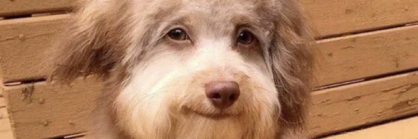 ilyelmo0's profile banner image