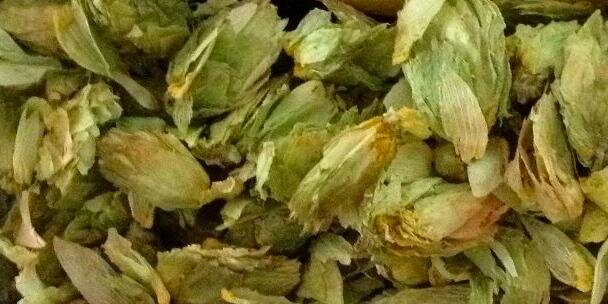 OregonBreweries banner