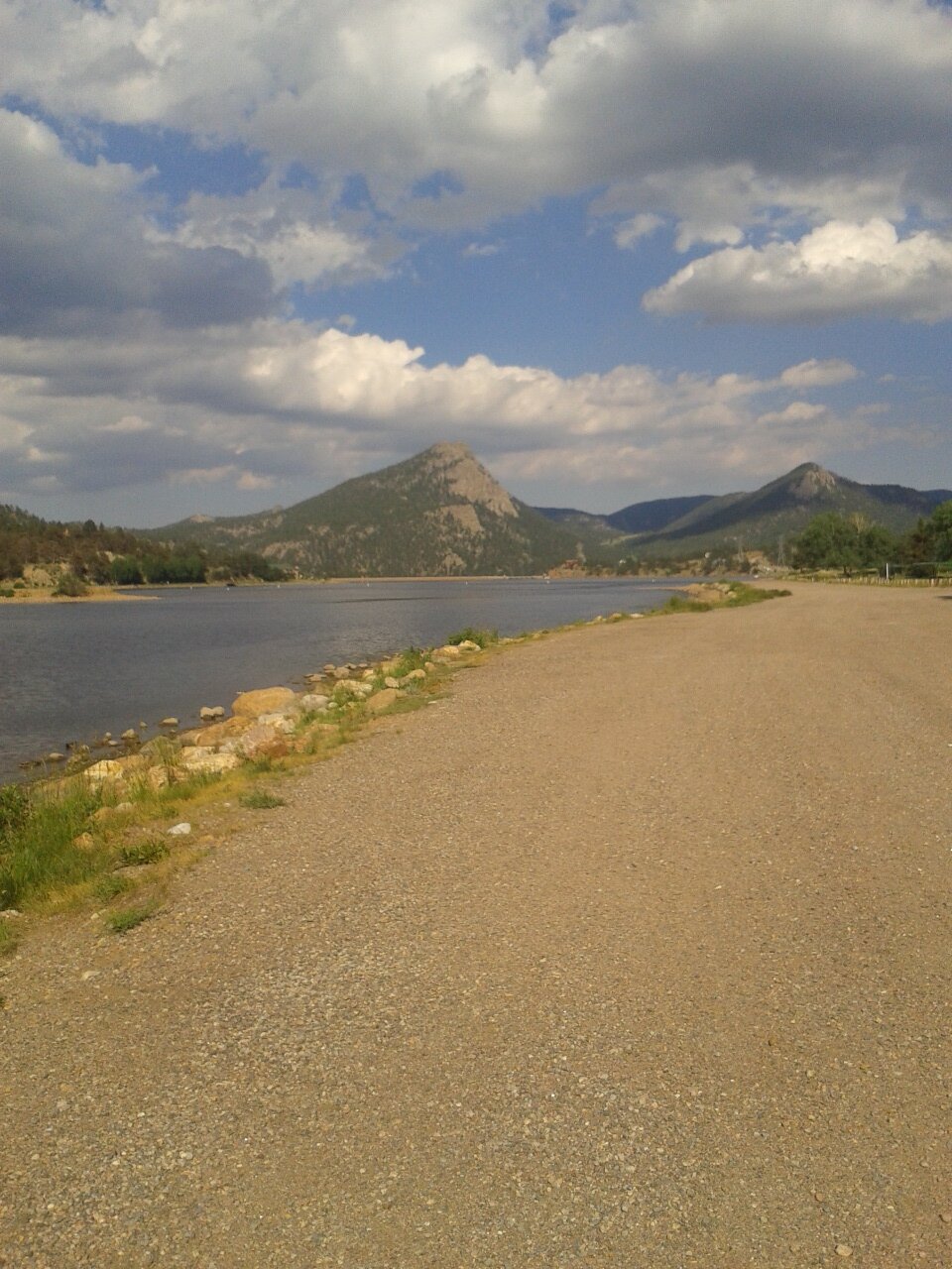 Maria Fernanda Carvajal banner