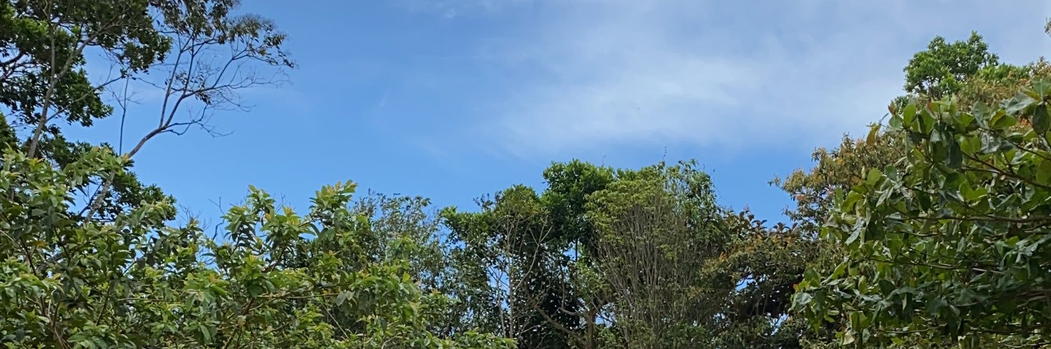 Ranbe06's profile banner image