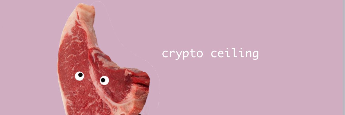 CryptoCeiling's profile banner image