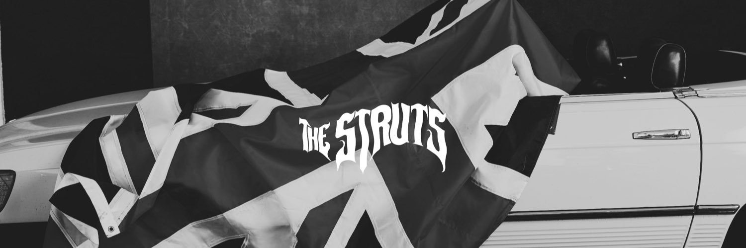 The Struts banner