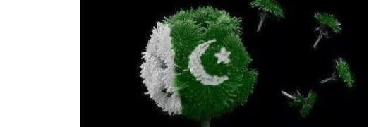 ZafarDhamraya's profile banner image