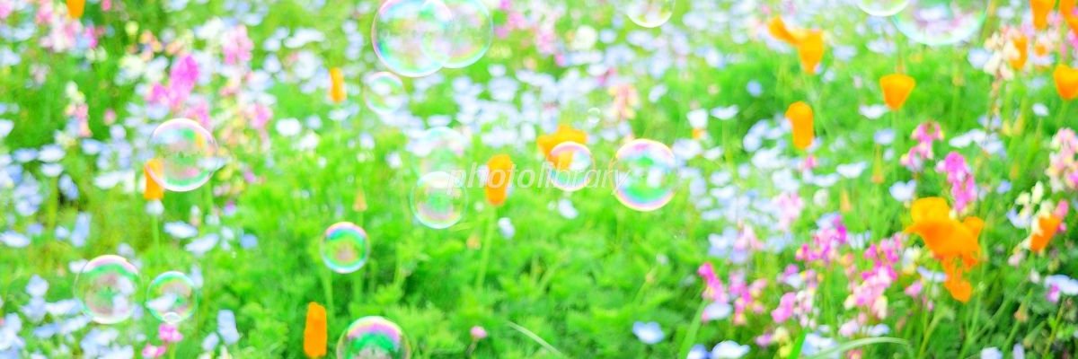 msugar1032's profile banner image