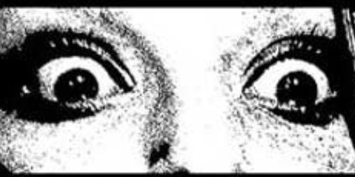 SyndyAve's profile banner image