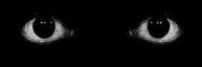 gamungul's profile banner image