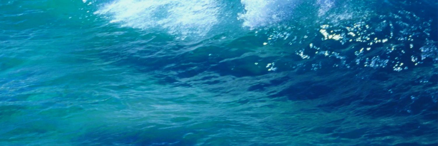shie11112's profile banner image