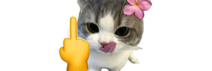 bbb banner