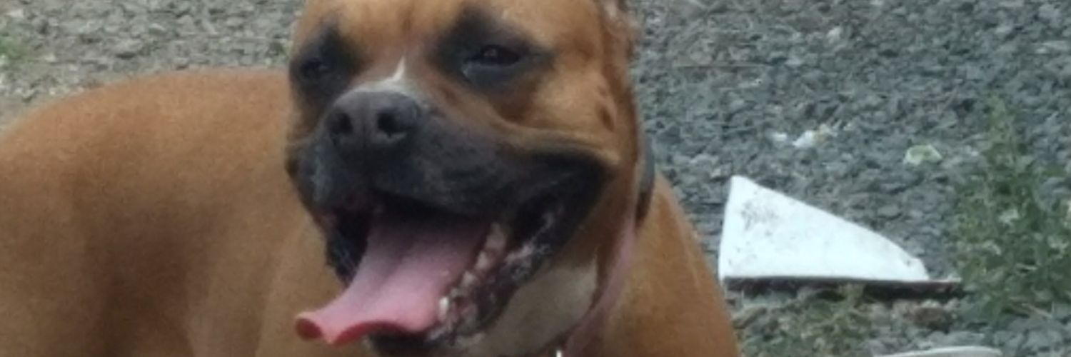 hbbeauchamp's profile banner image