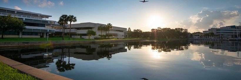 USF St. Petersburg banner