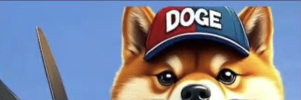 FedUpwDemsLIES Profile Banner