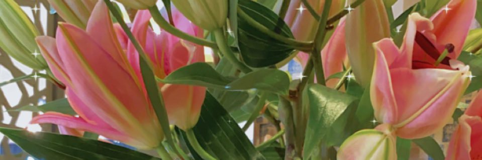 Y2nDj's profile banner image