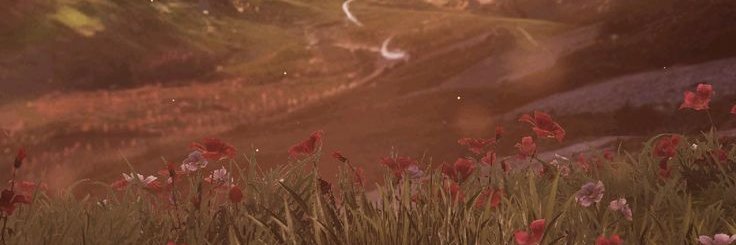 ɪᴄᴇʟ☄︎'s banner