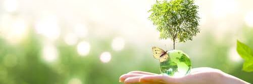ArjunKumar8051's profile banner image