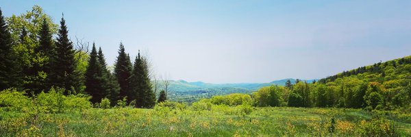 crampell Profile Banner