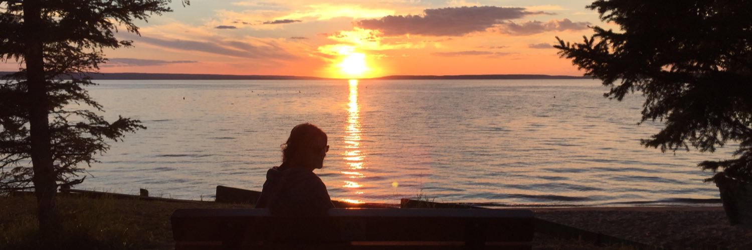 yellowlees's profile banner image