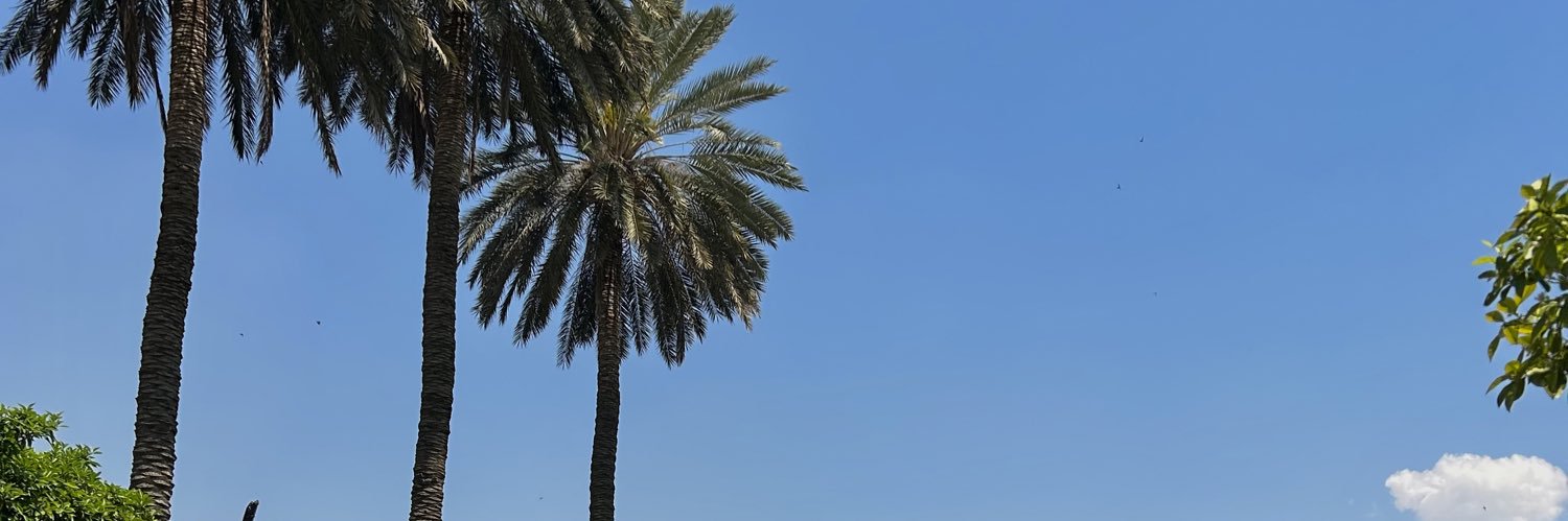 maybeimyas's profile banner image