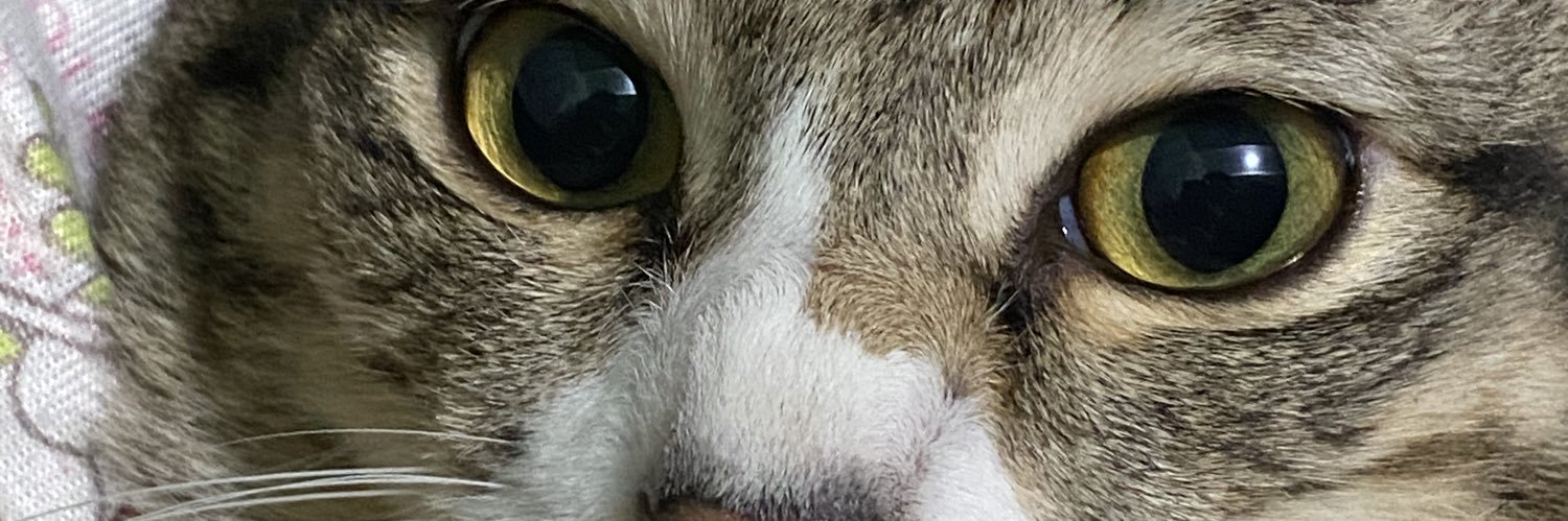 notjabii's profile banner image