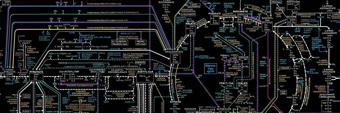 Randy Castleman banner